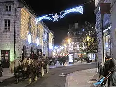 Balade en calèche de comtois.