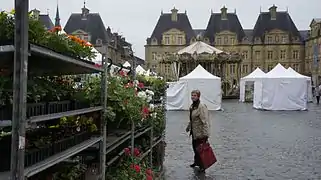 Marché aux fleurs et aux livres.