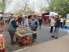 Champ de foire.