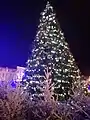 Sapin de Noël décoré, place Soult en 2021