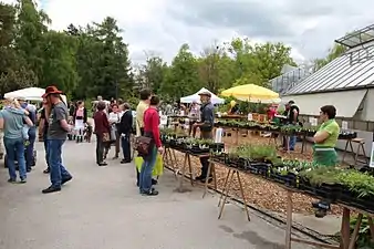 Marché de printemps 2017