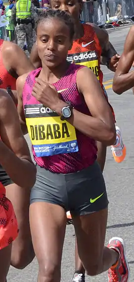 Image illustrative de l’article Mare Dibaba