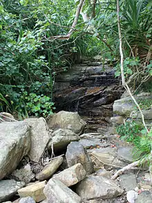 Photographie couleur du lit d'un ruisseau en cascade peu pentu.