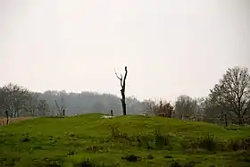 Emplacement des ruines de l'abbaye de Marienkamp