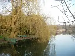 L'Ardusson à Marigny-le-Châtel en hiver.