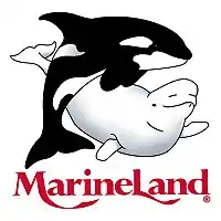 Image illustrative de l’article Marineland du Canada