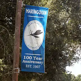 Maringouin (Louisiane)