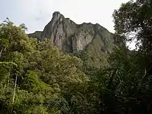 photo d'une montagne rocheuse émergeant d'une forêt.