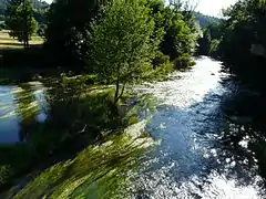 La Maronne en aval de la RD 116 à Argentat.