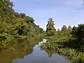 Une portion de l'île est une zone marécageuse.