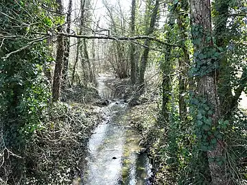 Le Martarieux au lieu-dit Perboyer, en limite de Saint-Médard-de-Mussidan (à gauche) et Beaupouyet.