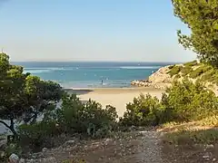 Plage de La Saulce