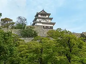 Image illustrative de l’article Château de Marugame