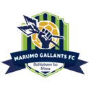 Logo du Marumo Gallants FC