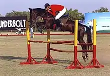 Un cheval brun foncé est monté par un homme en veste rouge et pantalon blanc, à mi-hauteur sur un saut.