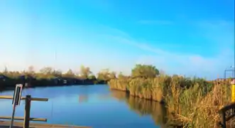 Vue sur le lac depuis Le port Massaciuccoli, près de Massarosa.