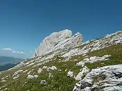 Chemin du Pas de l'Œille.