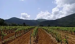 Massif des Maures, depuis Les Mayons.