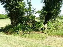 Dolmen de Thauzac.