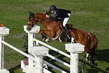 Un cheval alezan et son cavalier franchissent un oxer gris marbré.