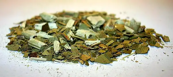 Feuilles et tiges de yerba mate