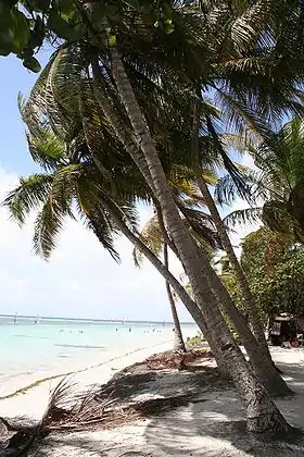 Plage sur la presqu'île