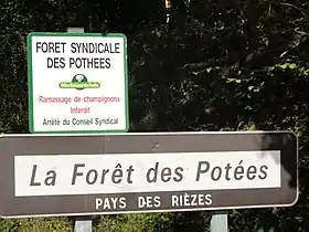 Image illustrative de l’article Forêt des Pothées