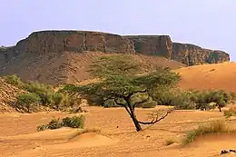 Paysage du plateau de l'Adrar