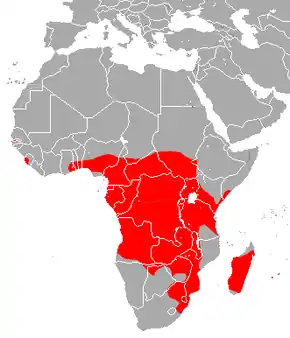 Aire de répartition du Taphien de Maurice