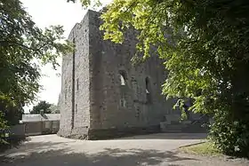 Image illustrative de l’article Château de Maynooth