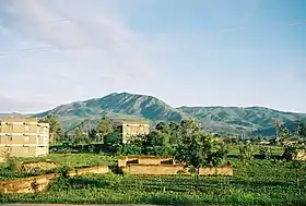 Mbeya