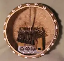 L'instrument inséré dans une calebasse.