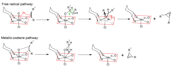 Mécanismes des voies radicalaire et métallo-oxétane de la réaction de Jacobsen-Katsuki