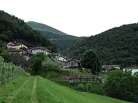 Medeglia