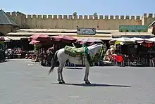 Photo en couleur d'un cheval blanc harnaché devant des magasins