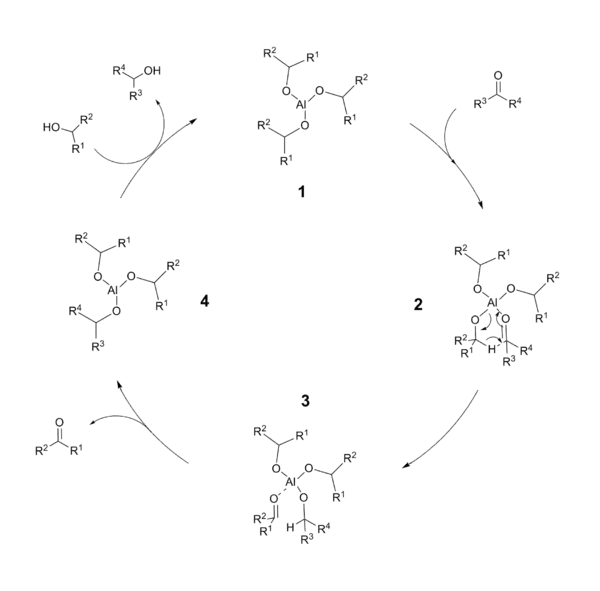 Cycle catalytique de la réduction de Meerwein-Ponndorf-Verley.