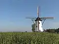 Moulin: de Witte Molen