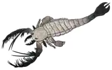 Reconstitution de Megalograptus ohioensis, le scorpion de mer qui apparait durant le début du documentaire. L'animal est reconstitué ainsi grâce aux travaux du paléontologue Simon Braddy.