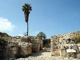 Image illustrative de l’article Megiddo