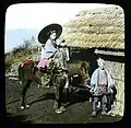 Femme sur un cheval de trait, 1892-1895