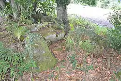 Image illustrative de l’article Dolmen du Perron