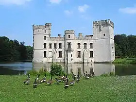 Photographie en couleurs représentant un château de pierres claires entouré d'un étang et de pelouses avec une vingtaine de bernaches du Canada.