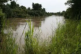 Parc national du W du Niger