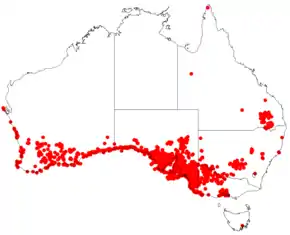 Description de l'image Melaleuca lanceolata Distribution Map1.png.