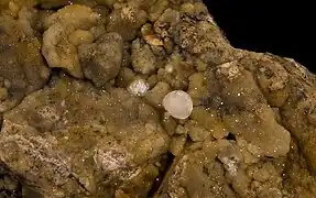 Mélanophlogite - Fortullino, Toscane, Italie