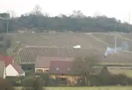 Vignes au lieu-dit « les Bdeurs » ou « Sur le Château ».