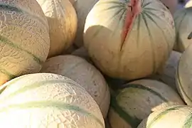 Melons de Cavaillon fendus