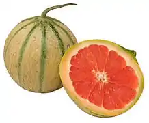 Un « Melousse », photomontage d'un pamplemousse et d'un melon.