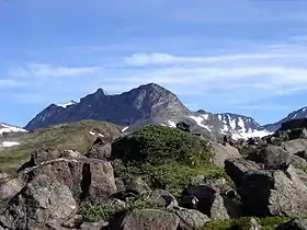 Vue des Memurutindene depuis la vallée de Memurudalen au sud.