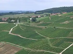 Menétru-le-Vignoble